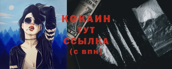 тгк Бородино