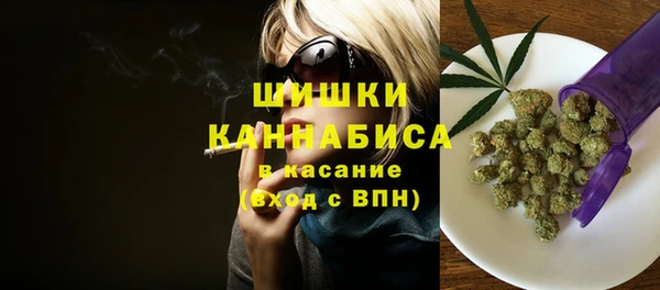 ешки Бронницы