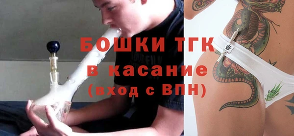 ешки Бронницы