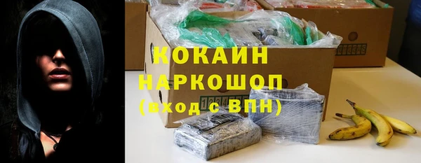 тгк Бородино