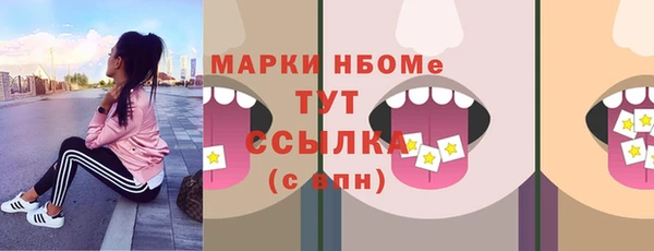 тгк Бородино