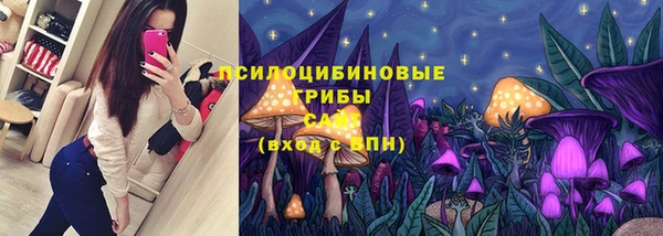 тгк Бородино