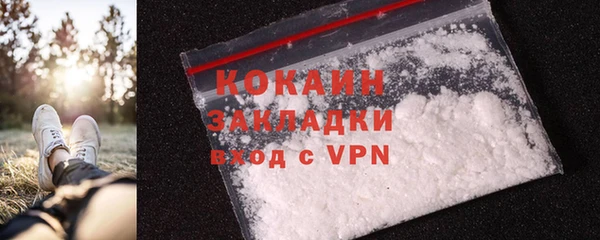 ешки Бронницы