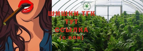 шишки Бугульма