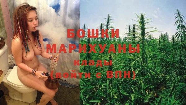 ешки Бронницы
