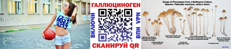 Галлюциногенные грибы GOLDEN TEACHER  где купить наркоту  Кировград 